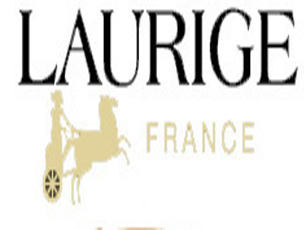 Laurige Ladies Bags | Coloured Full Ladies Business bags